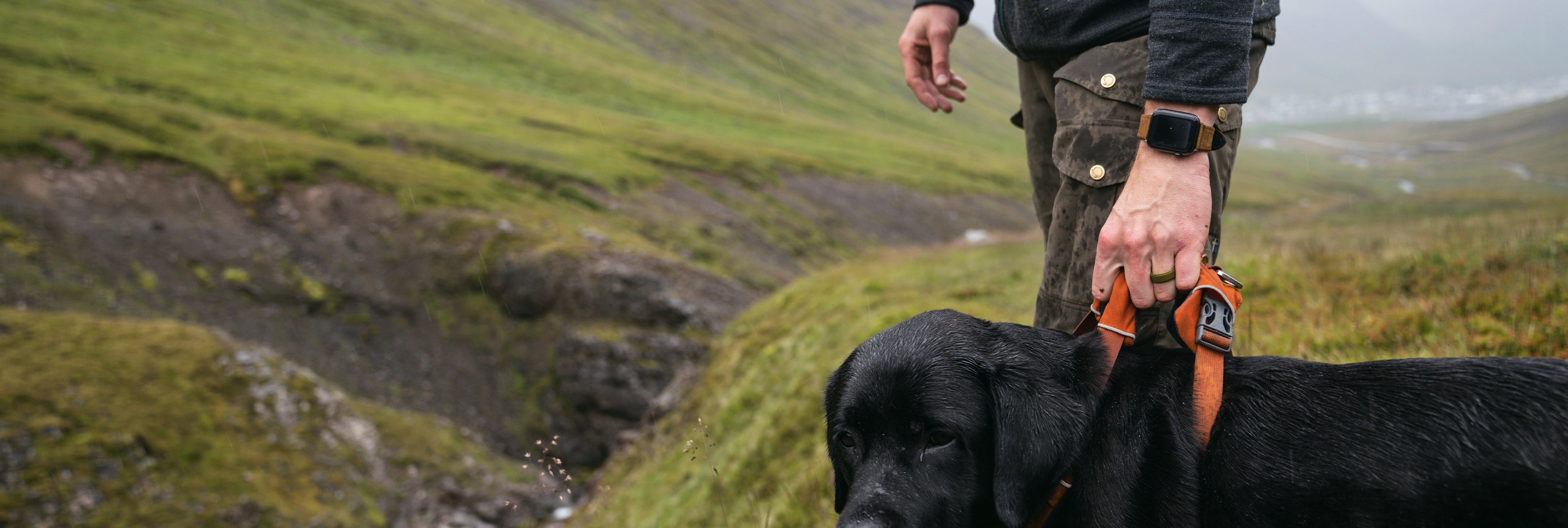 man walking his dog wearing a Groove Life watch band and ring
